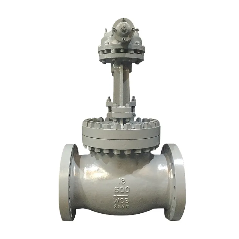 Korozijas izturīgs Globe Valve